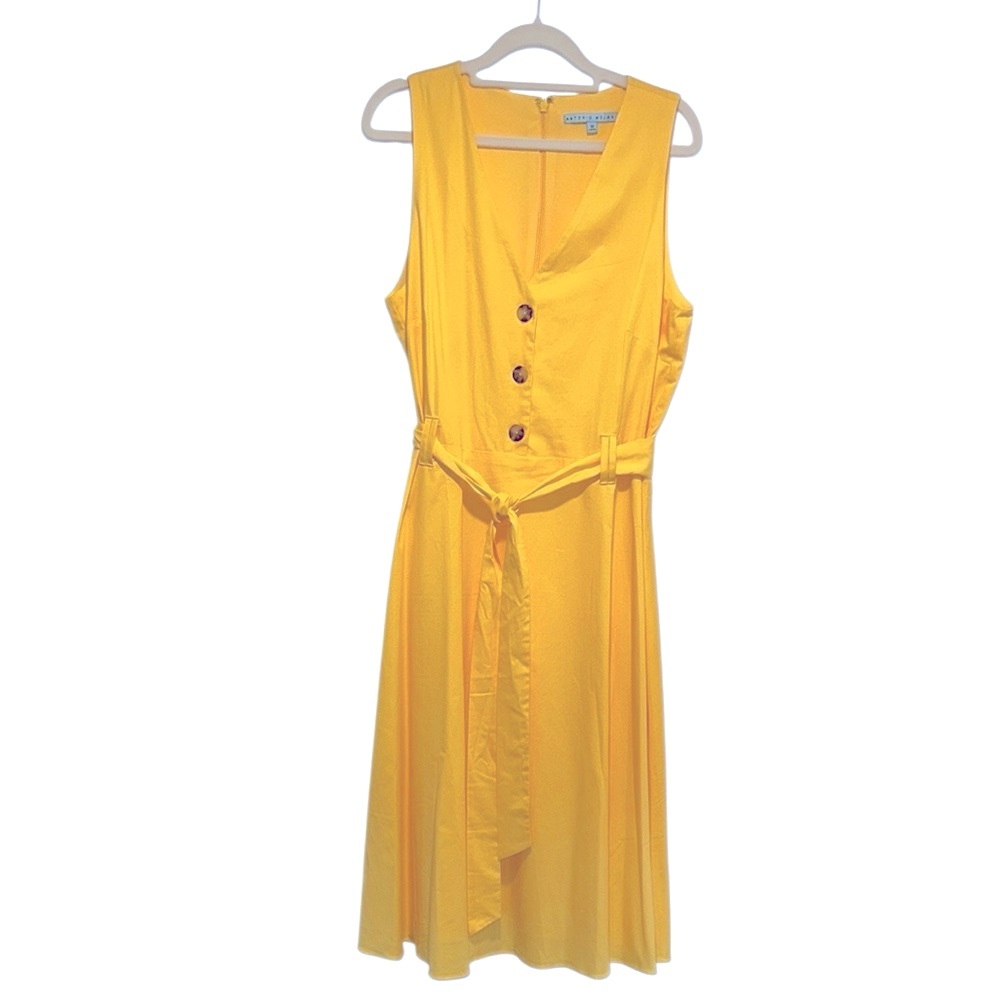 Antonio Melani Drop Waist Cotton Dress EUC
Figure flattering in soft yellow s12